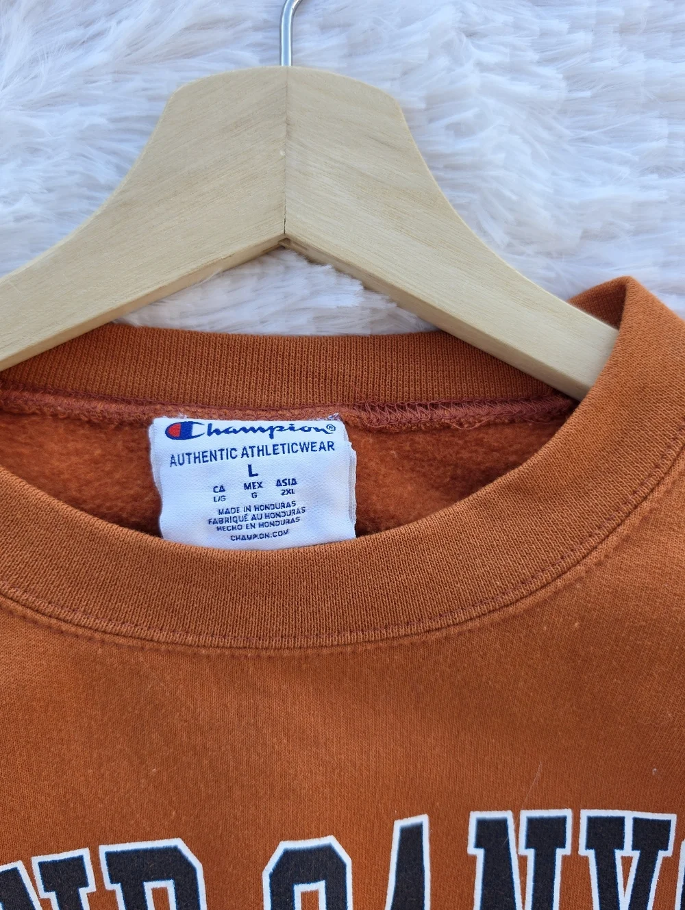 Champiom Grand Canyon National Parks Crewneck Sweatshirt - Picture 4 of 5